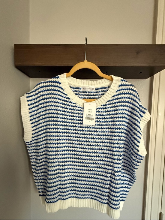 Knit Mix Other - Striped Blue & White Crewneck Sweater Vest - Relaxed Fit
